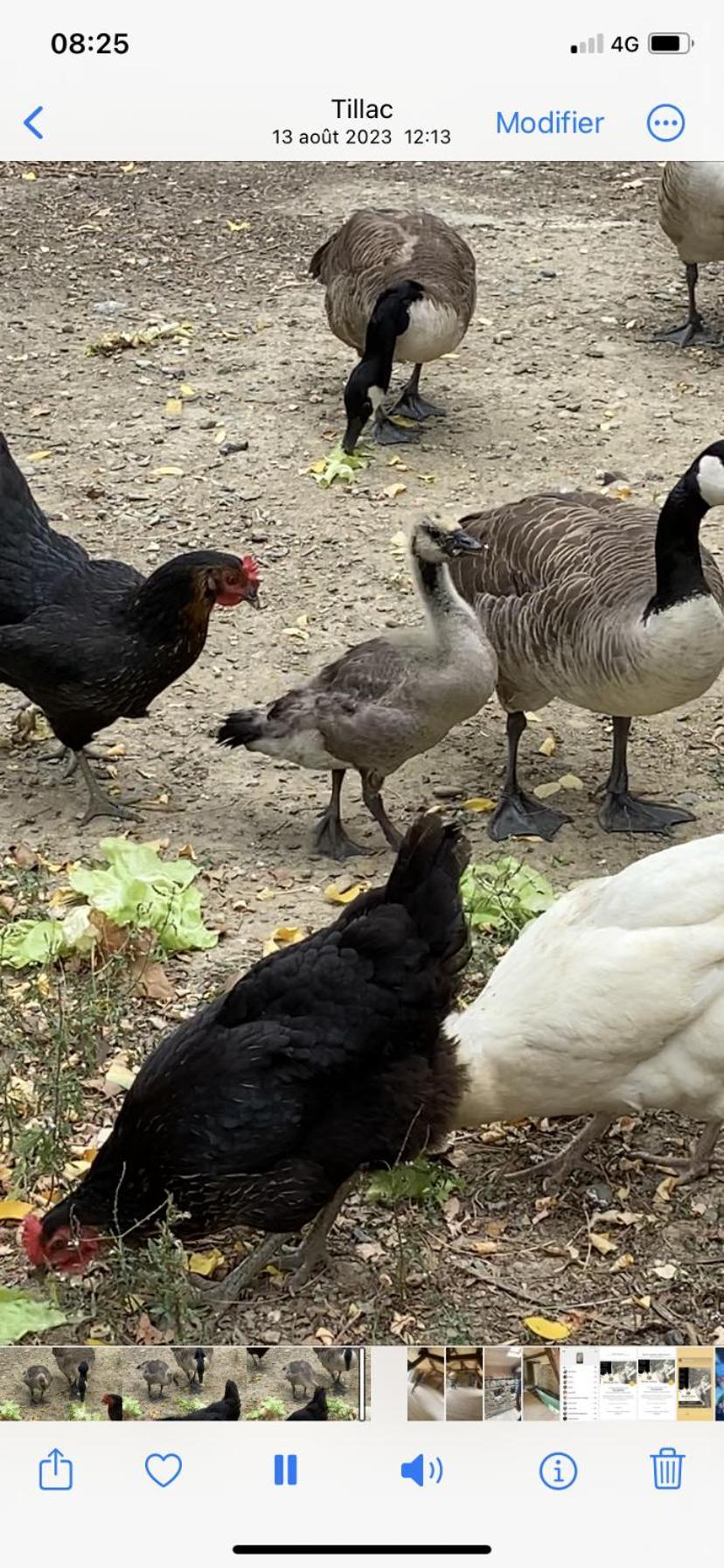 La Seigneurie De Tillac Zewnętrze zdjęcie